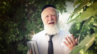 אחרי מות-קדושים | ההשגחה הפרטית על יושבי ארץ הקודש
