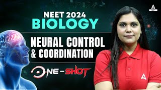 Neural Control and Coordination Class 11 One Shot | NEET 2024 Biology | Garima Goel