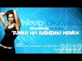 Tumhi Ho Bandhu Remix Feat  Jay Sean, Pitbull   YouTube 3