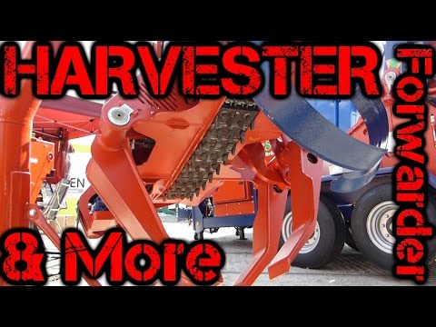 TST 60H - Timbernator - WALKAROUND