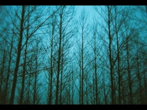 Miqz - Desolate [Ambient]