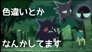 【ポケモン剣盾】ランクマか色違いレイド！【初見さん歓迎】