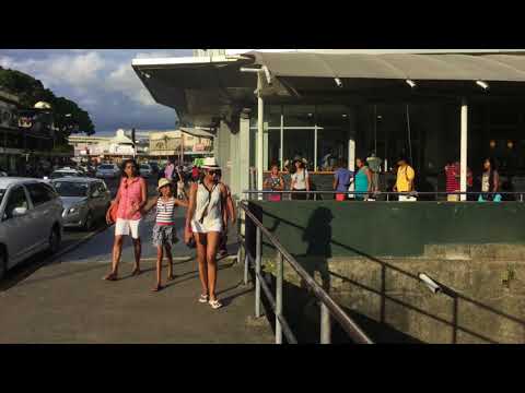 Coral Reef, Fiji Islands