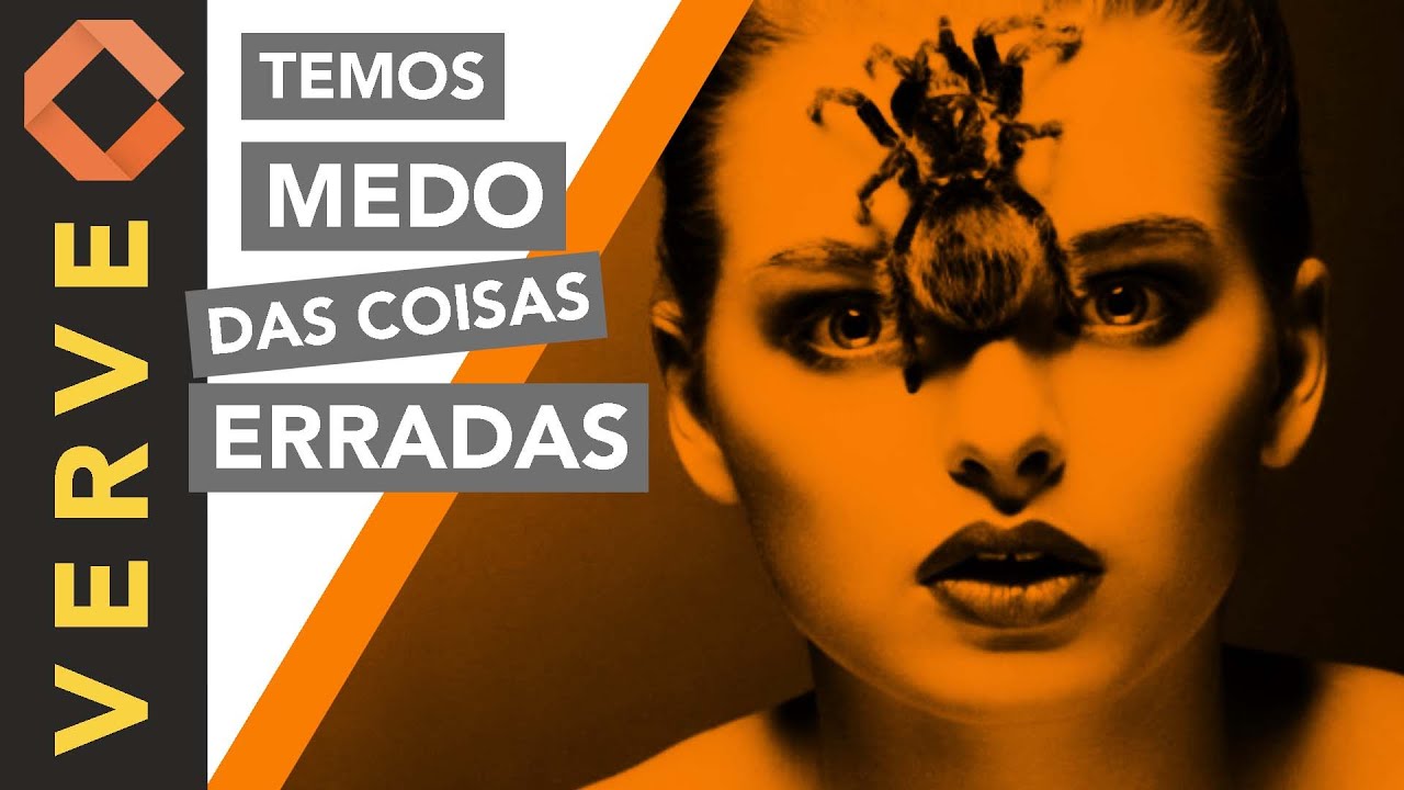 Do medo à razão: Entendendo as diferenças entre Incerteza e Risco