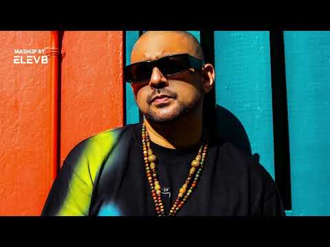 Shake Body x Temperature | Sean Paul, Skales | DJ ELEV8