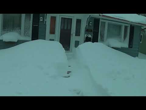 A Walk On The Wild Side In Cheyenne, Wyoming