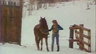 Olivia Newton John Let It Shine Remastered 2011   YouTube