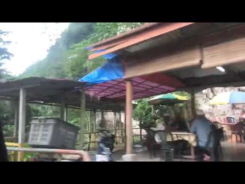 Oh kome,durian dah berbunga