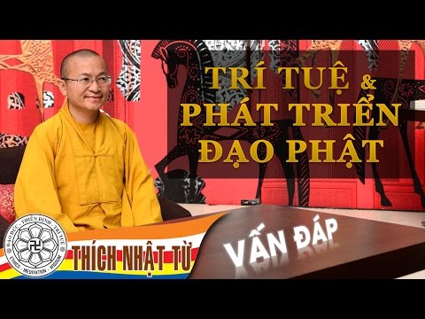 Vấn đáp: Trí tuệ và phát triển đạo Phật (17/04/2011) Thích Nhật Từ