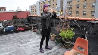 Rooftop salute