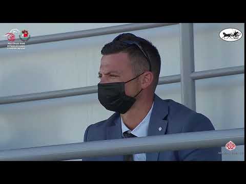 N 61 MDS HIND   Abu Dhabi International Arabian Horse Championship 2021   Fillies 2 Years Old Class