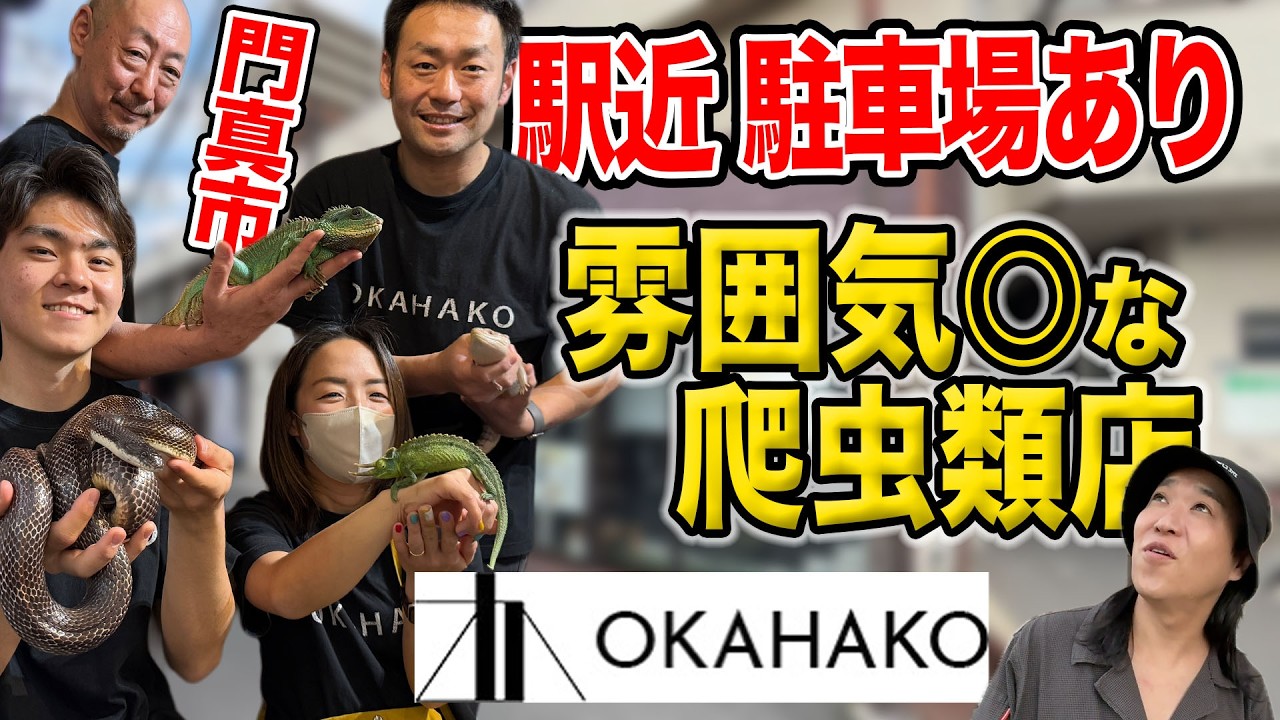 【雰囲気◎】な門真市の爬虫類ショップ”OKAHAKO”を紹介！