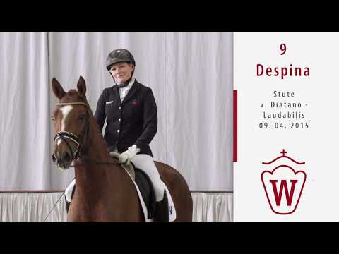 09 Despina  Stute v. Diatano - Laudabilis