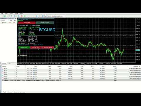 Video BTC Hybrid EA