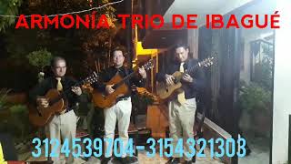 Video de Armonía Trío