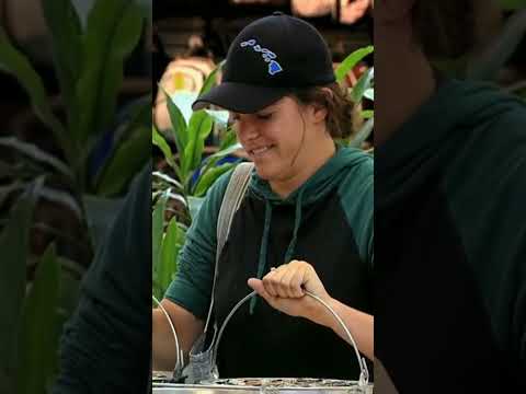 Strongest Girl in the World Prank - Just For 🍬🍬 #Shorts #LaughsGags #littlegirlprank