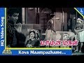 Kova Maampazhame Video Song Maaman Magal Tamil Movie Songs Gemini Ganesh Savithri Pyramid Music