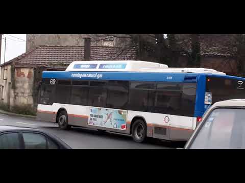 STCP No Linha 805 Veículo 3184, 29/01/2021 Part1