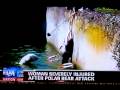 Polar Bear Attacks Woman Berlin Zoo