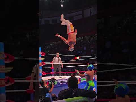 Lucha Libre is ART 🔥
