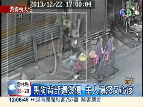 越勞狠虐鄰居狗 潑灑熱水燙傷背