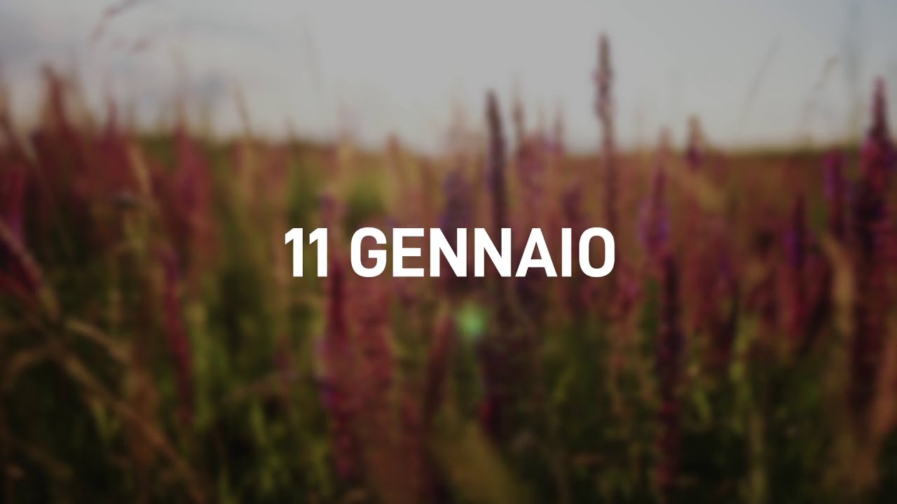 11 Gennaio 2025 | Meditazione Parole di Vita