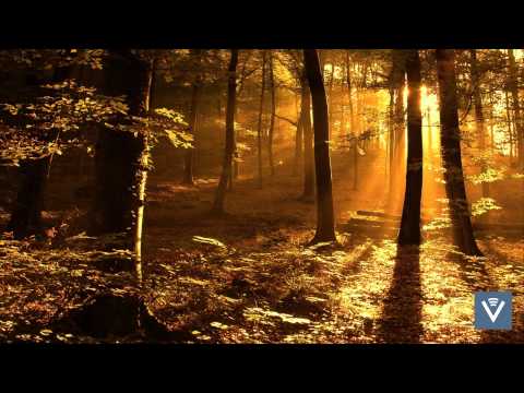 Wyclef Jean & Shakira - Hips Don't Lie (Müdebär Ice Cream Bootleg)