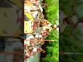 Dasavatharam Movie WhatsApp Status Video Attitude WhatsApp Status Herobrain EDITS