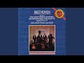 String Quartet No. 3 in D Major, Op. 18 No. 3: IV. Presto