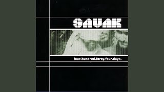 Bird Tracks in the Snow Music Video