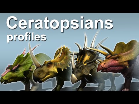 角竜類のプロフィール