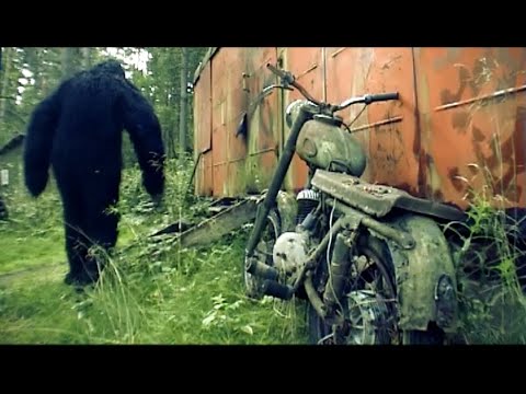 Video thumbnail for Йети (Yeti)