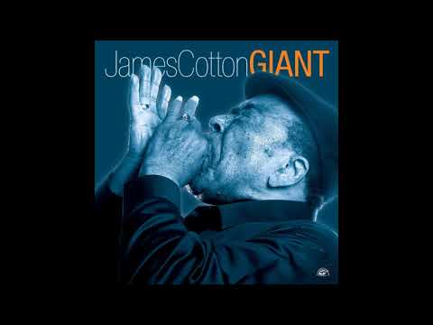 James Cotton -  Blues for Koko