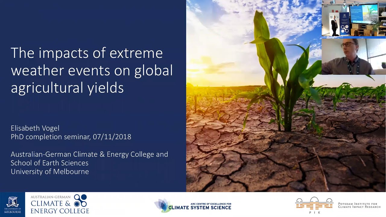The impacts of extreme weather events on global agricultural yields
