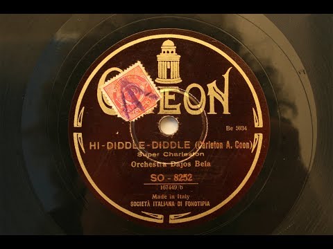 Hi-Diddle-Diddle - Dajos Bela Tanz-Orchester - 1927