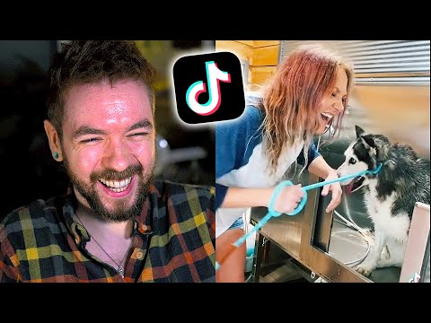 Funniest tiktoks I could find