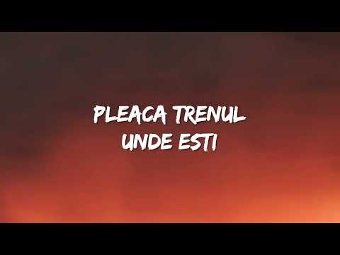 Zdob şi Zdub & Advahov Brothers  - Trenuleţul (Lyrics)