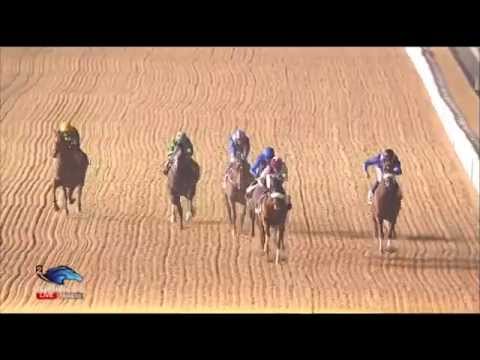 26.02.2015 Meydan (Dubai/UAE) 1.Race Al Naboodah Group - Handicap 1.200 m