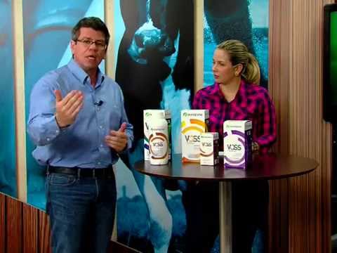 21/08/2015 - Terminação bovina e o novo Voss Performa - Ourofino em Campo (ao vivo)