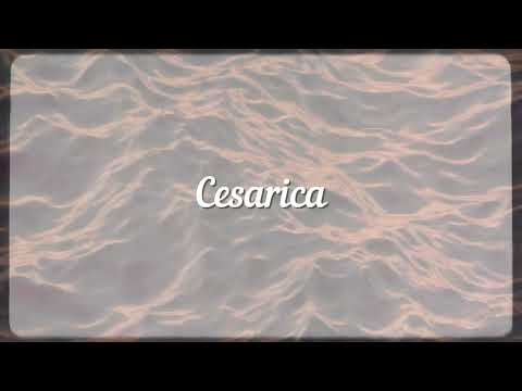 Dupini - Cesarica (Art track)