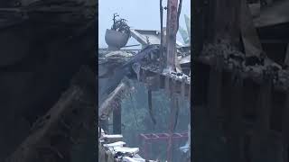 Adam Brody and Leighton Meester&#39;s home destroyed by LA wildfires