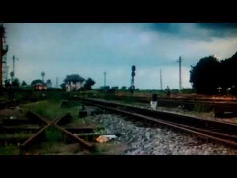 Tren de marfă al MAV - MAV Freight Train - Guterzug der MAV [HD]