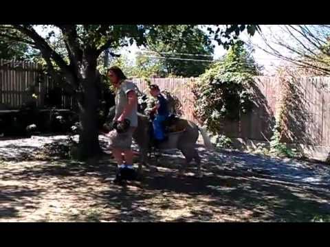 2011.10.01 // A -- Second Real Pony Ride