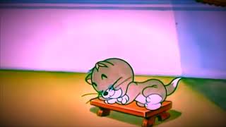 Tom and Jerry 最終鬼畜 nightcore