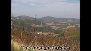 Edenbridge - Winter Winds - Lyrics