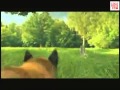 HUNT Zubr Commercial 2006
