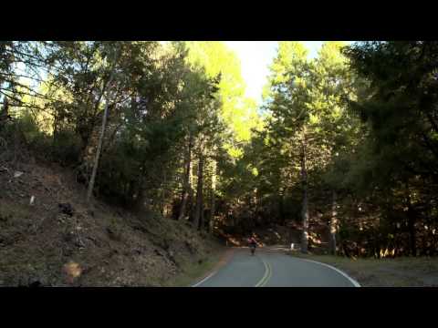 Buff High UV Reflection Blue