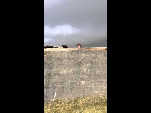 Elin Løkin, having fun!