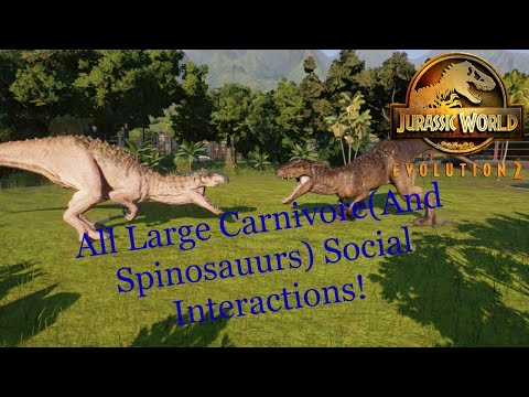 All Large Carnivore Species(And Spinosaurus) Social Interactions | Jurassic World Evolution 2 |