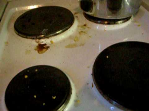 kanaa ja makaroonia osa 2